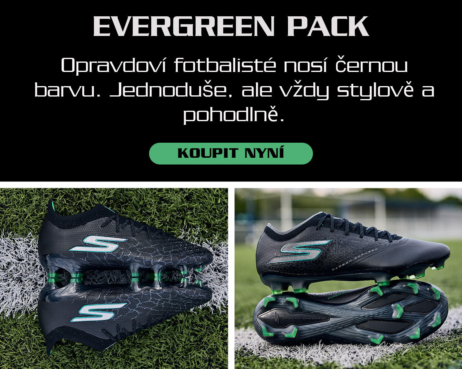 Evergreen Pack